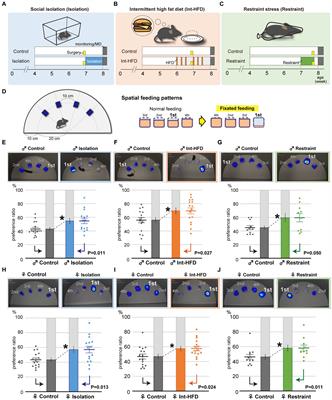 Stress-impaired reward pathway promotes distinct feeding behavior patterns